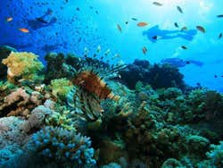 Buceando en Sharm el Sheik